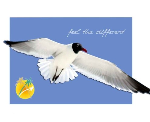 Urlaub in der Villa FloridaDream